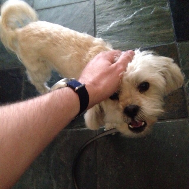 A day with Rusty