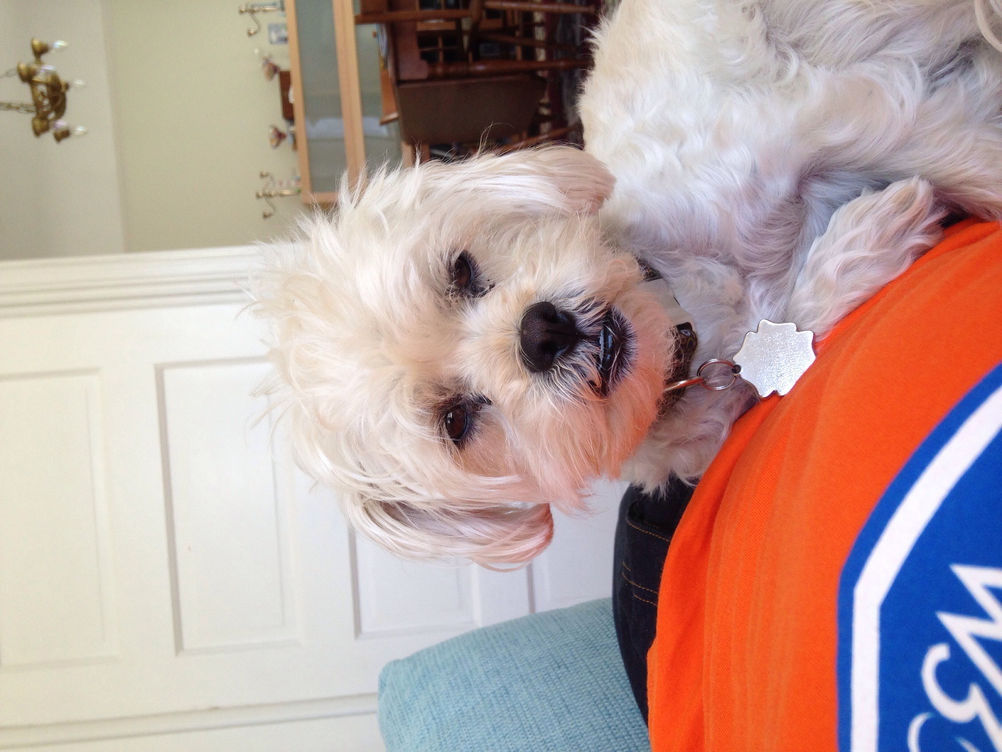 A day with Rusty