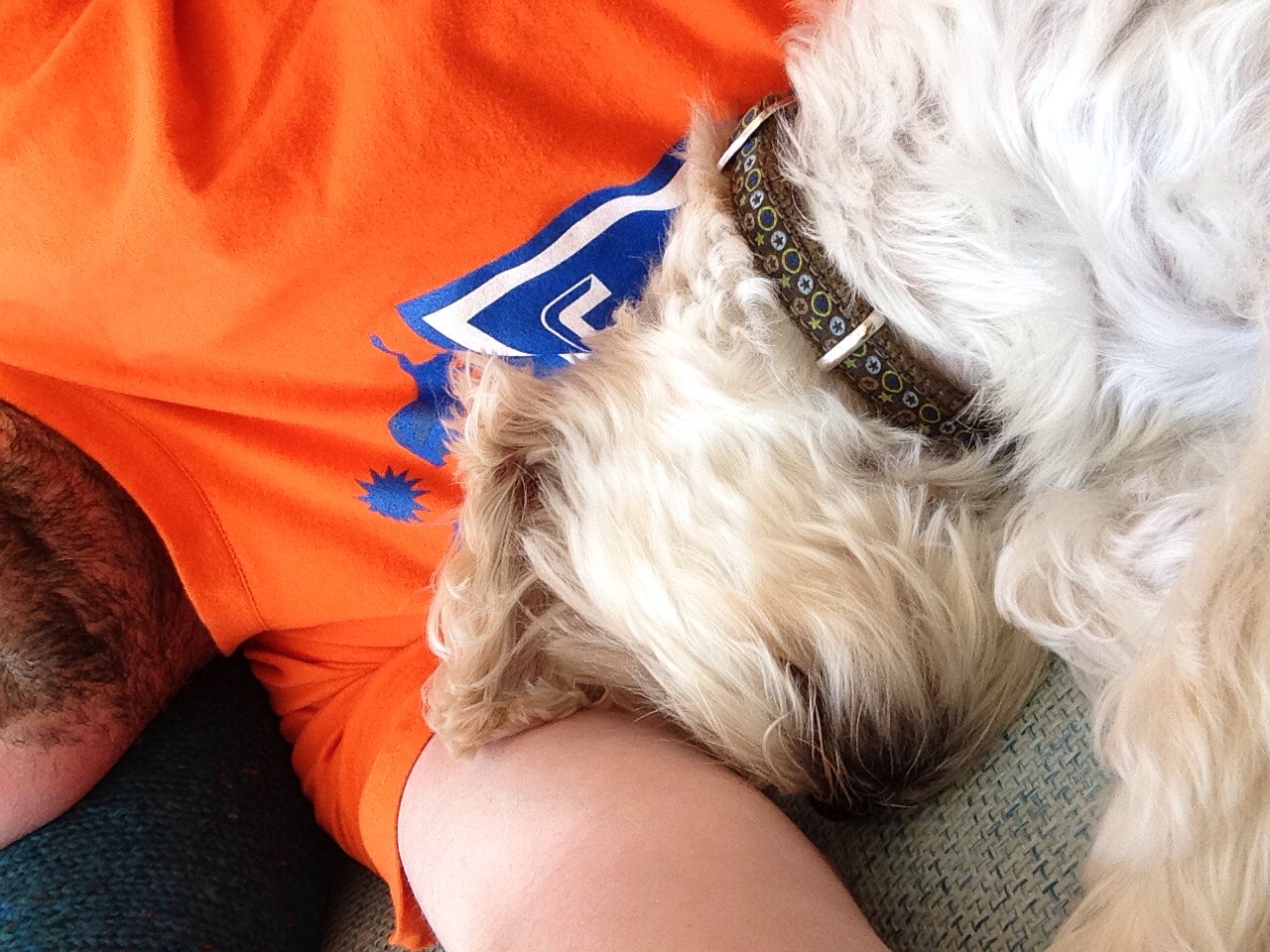 A day with Rusty