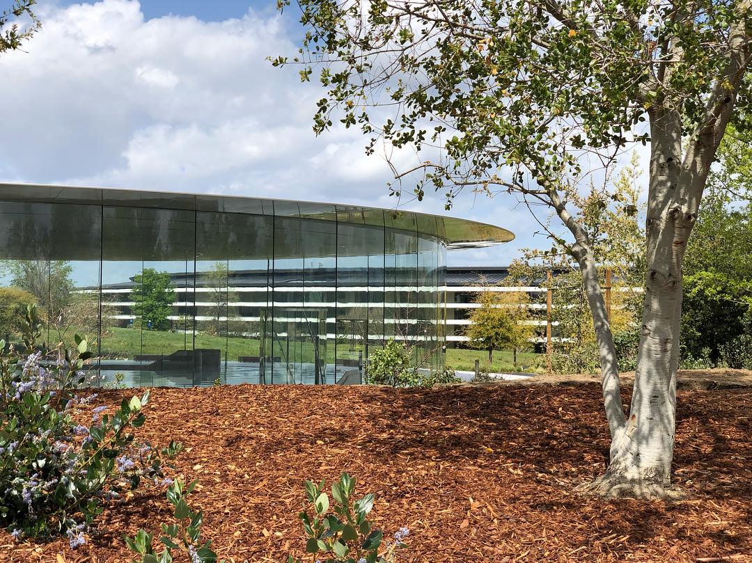 A cloudy day at Apple Park. Between the main ring building and the camera is the entrance to Steve Jobs Theater. Because the walls of the theater entrance are entirely glass, it looks like the entrance’s roof hovers above the main ring building like a spaceship. Numerous trees, bushes, and shrubs are visible.