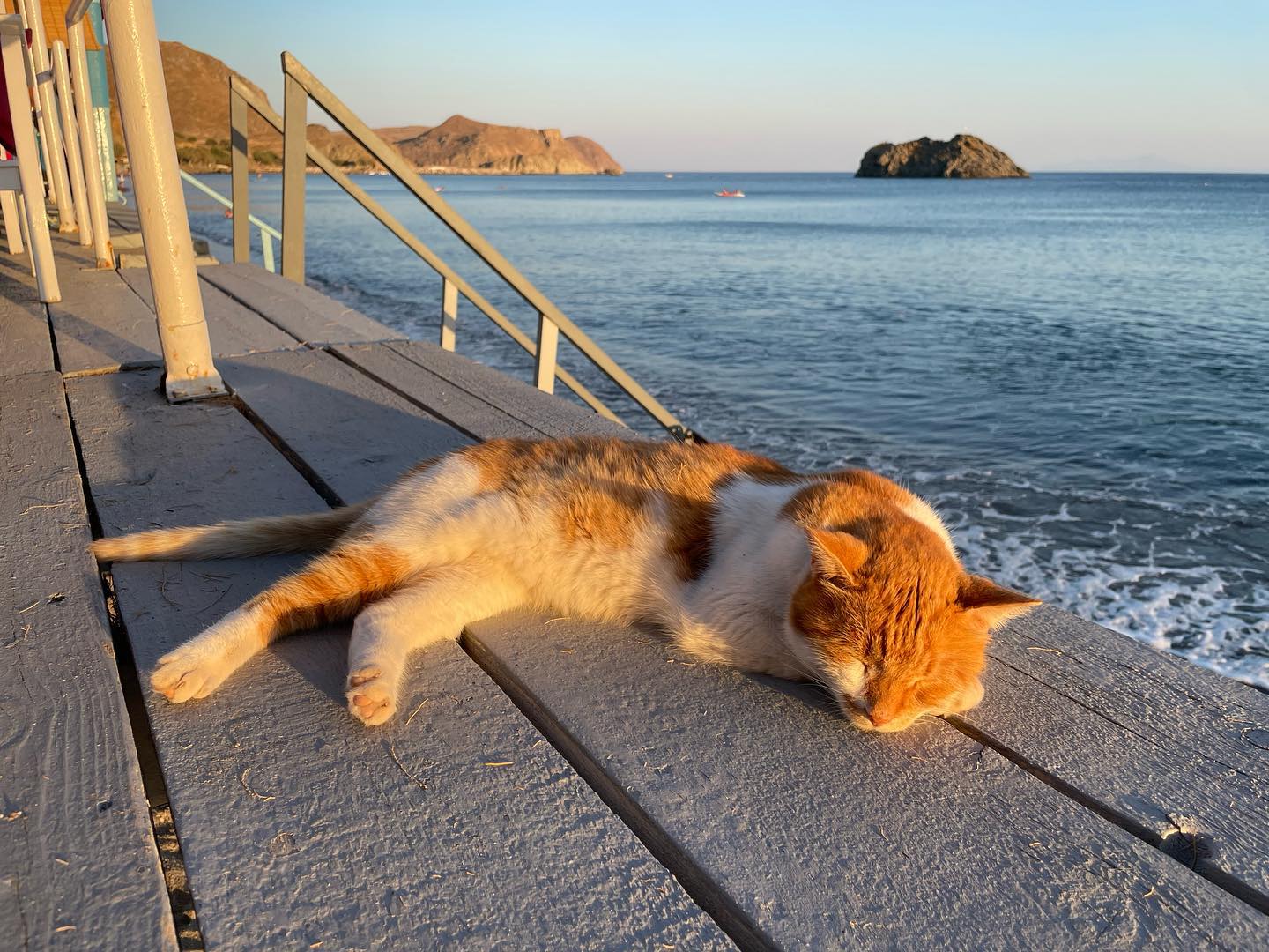 An orange and white cat sleeps on a gray deck next to the sea. Some rocky islands are in the distance.