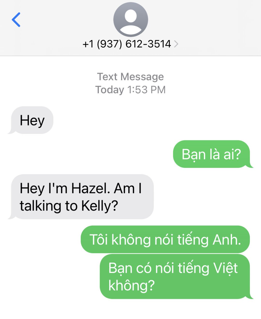 A screenshot of an SMS conversation between a stranger and myself.

Stranger: Hey
Me : Ban là ai?
Stranger: Hey I'm Hazel. Am I talking to Kelly?
Me: Töi không nói tiëng Anh.
Me: Ban có nói tiêng Viêt không?