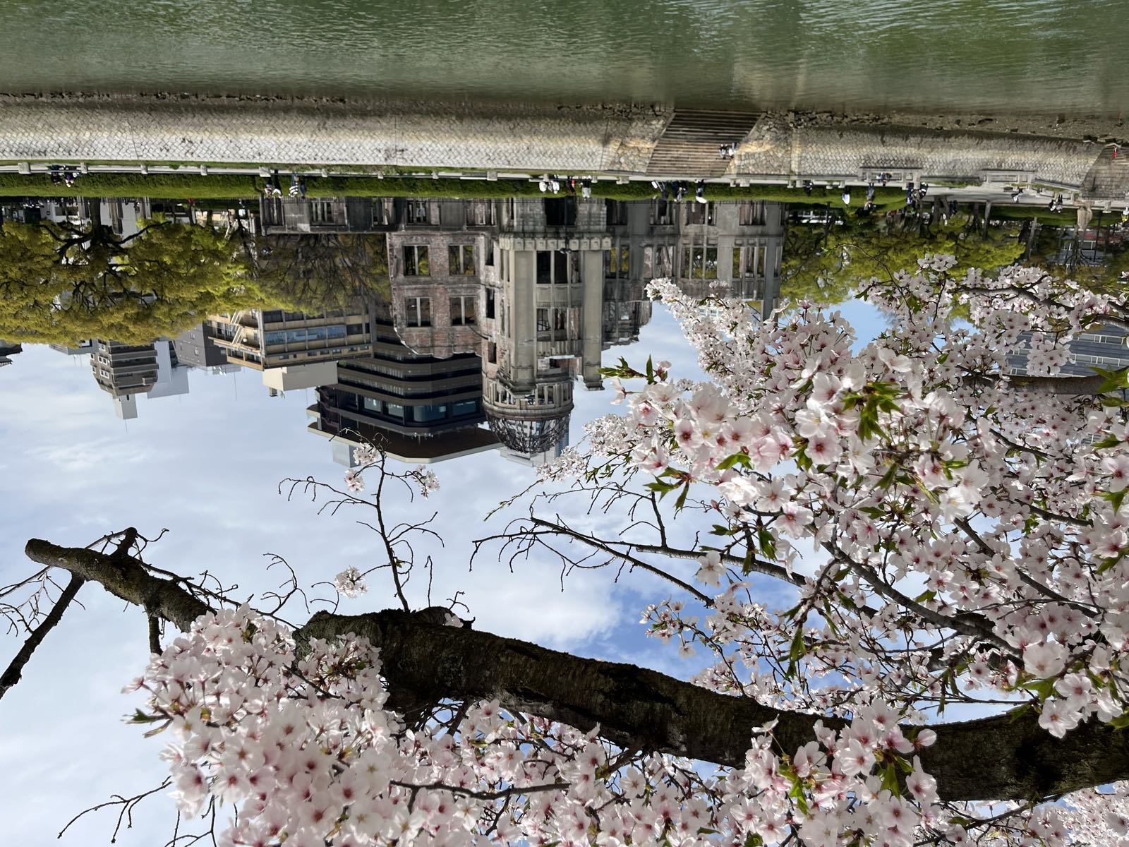 Genbaku Dome, the ruins which make up the Hiroshima Peace Memorial.
The Dome is across the river from the photographer.
It’s a partly cloudy day in the spring.
The top and left of the photo are framed by the blossoms of a cherry tree which stands in Hiroshima Peace Memorial Park.