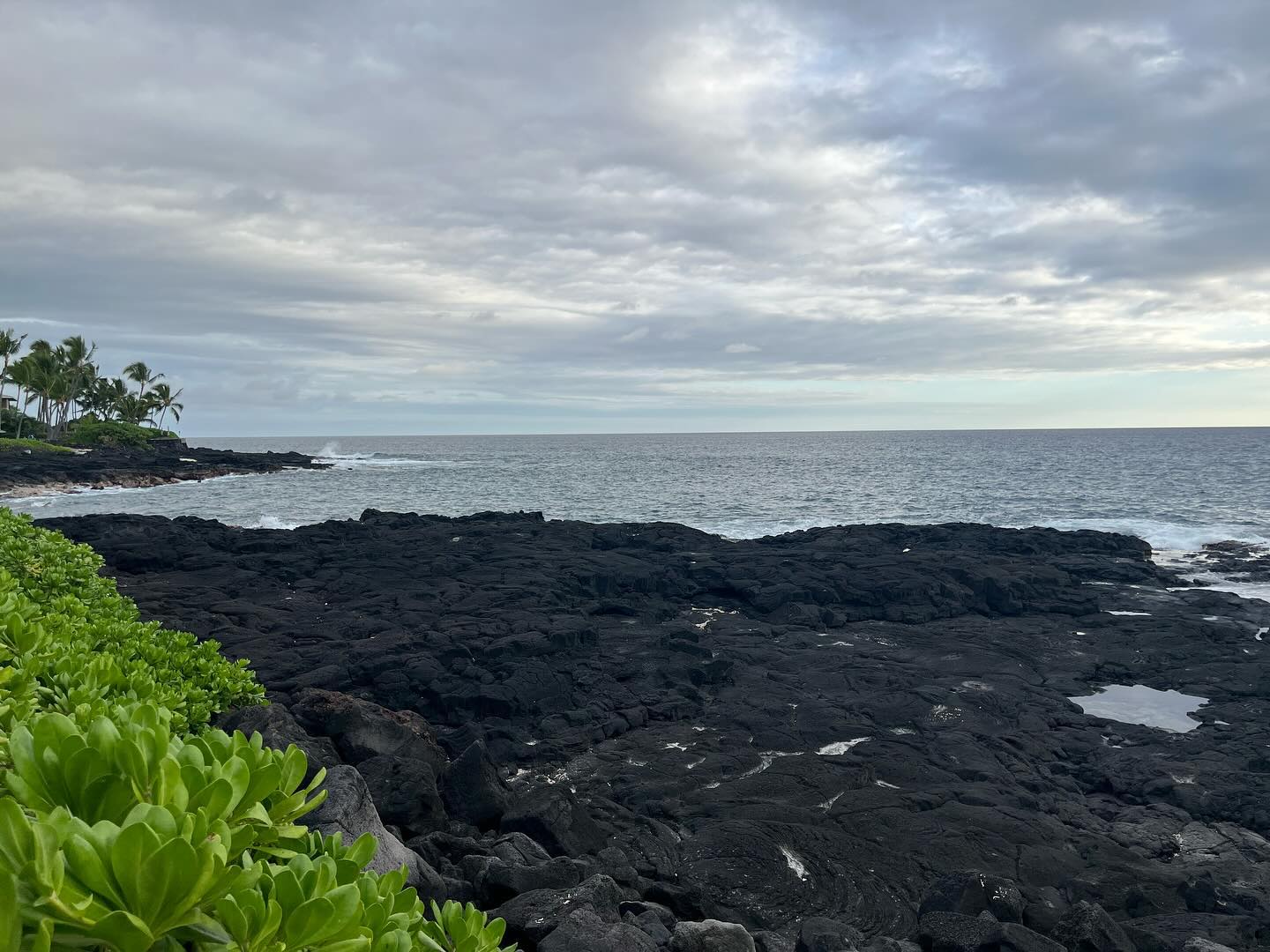 Looking out to the ocean from a rocky shore.
The shore is made up of dark igneous rock.
There’s some subtropical vegetation visible in the bottom left.
Above the water, the sky is cloudy.
