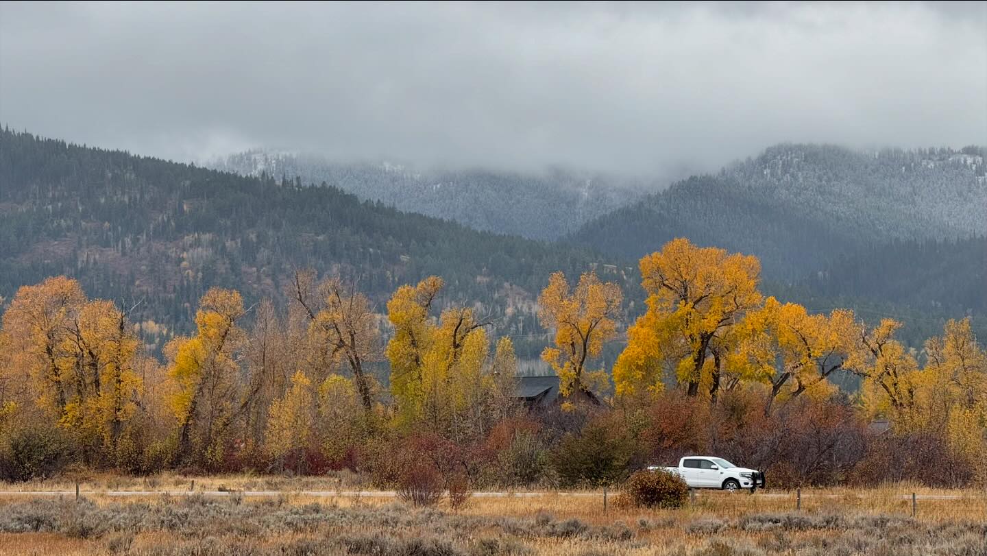 Trees with autumn foliage line a street down which a white truck is driving. Behind the row of trees are some rolling hills, the tops of which are obscured in clouds.