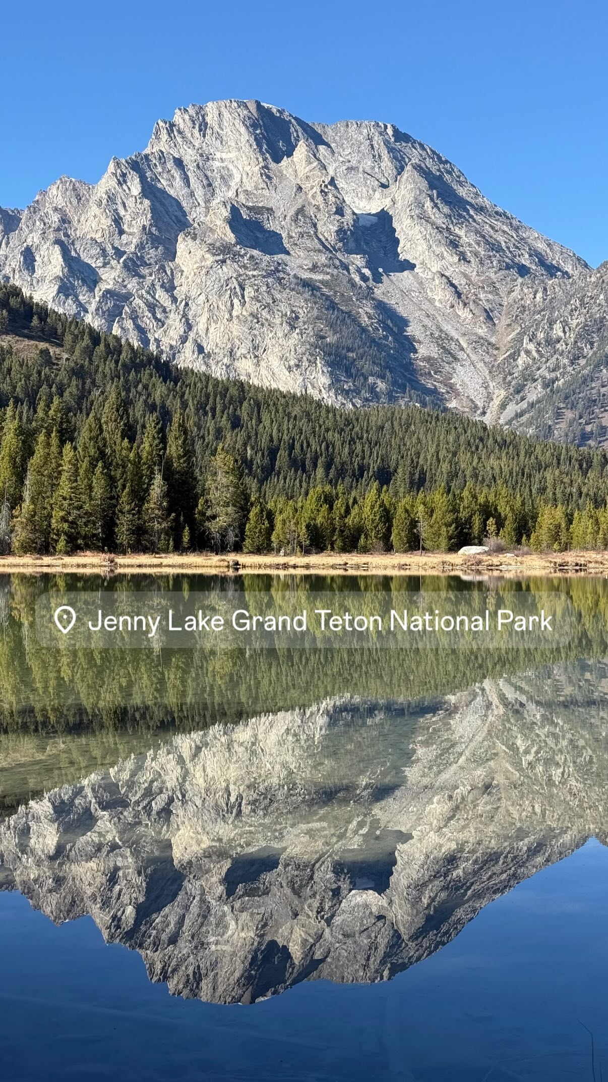 The top half of the photo is of a rocky mountain behind a tree-covered slope. The bottom half is a near-mirror reflection of the top half; the mountain and slope were on the far side of a lake from the photographer. Text across the center of the photo reads “Jenny Lake, Grand Teton National Park.”