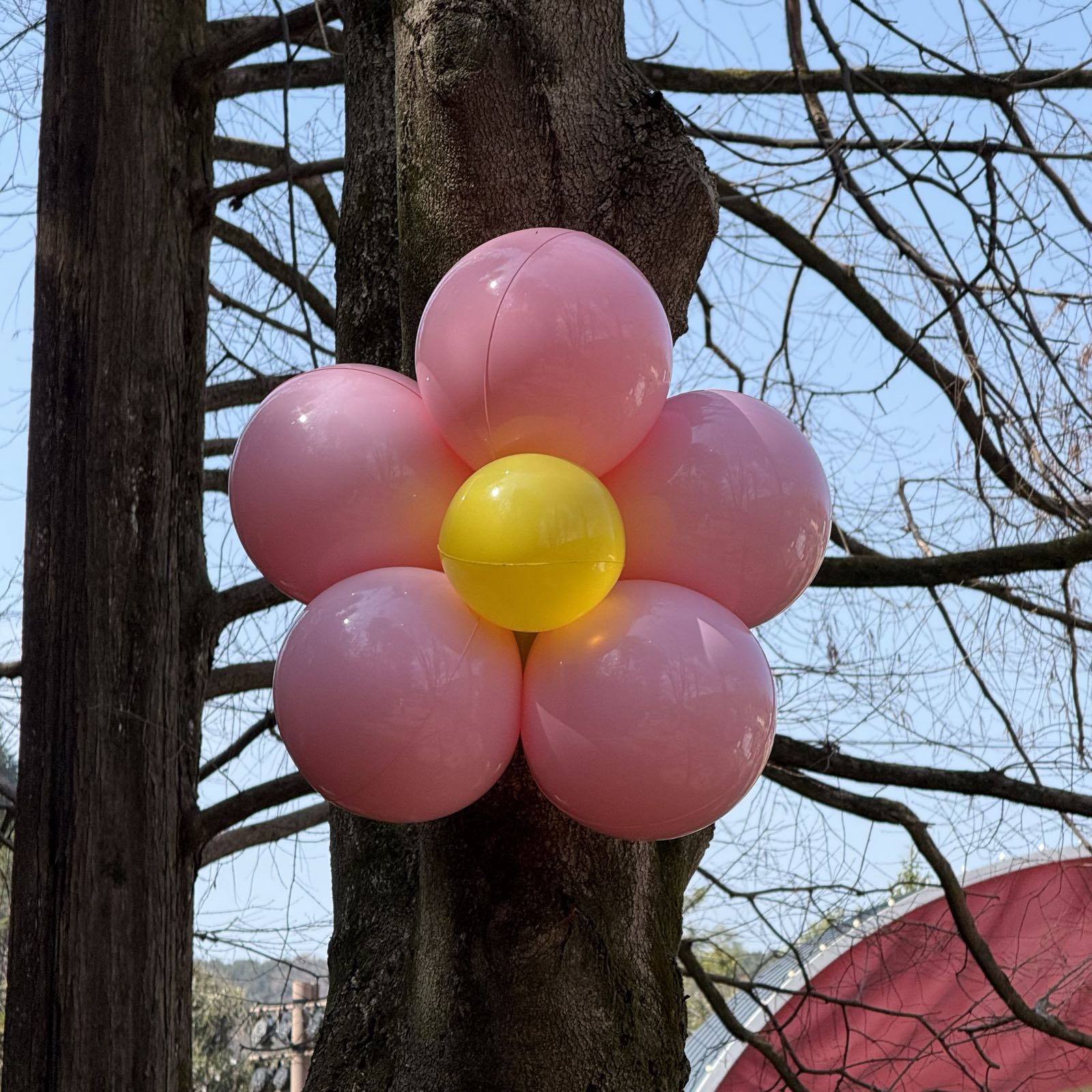 Five pink balloons and one yellow one are arranged to resemble a flower. The balloons are hung on a tree.