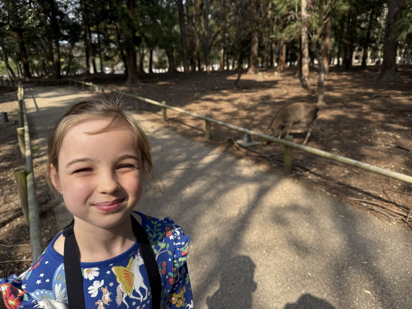A girl in a blue dress smiles at the camera. She’s in the lower-left of the shot, and is standing on a path. On the other side of the path, behind a simple fence, a deer grazes.