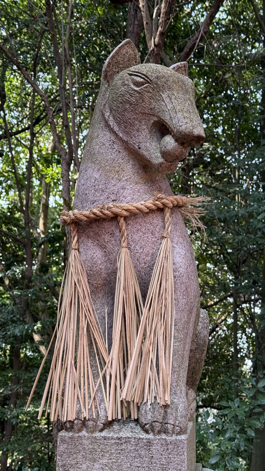 A statue of a sitting fox. It’s holding a ball of rice in its mouth, and there is a shimenawa rope tied around it.