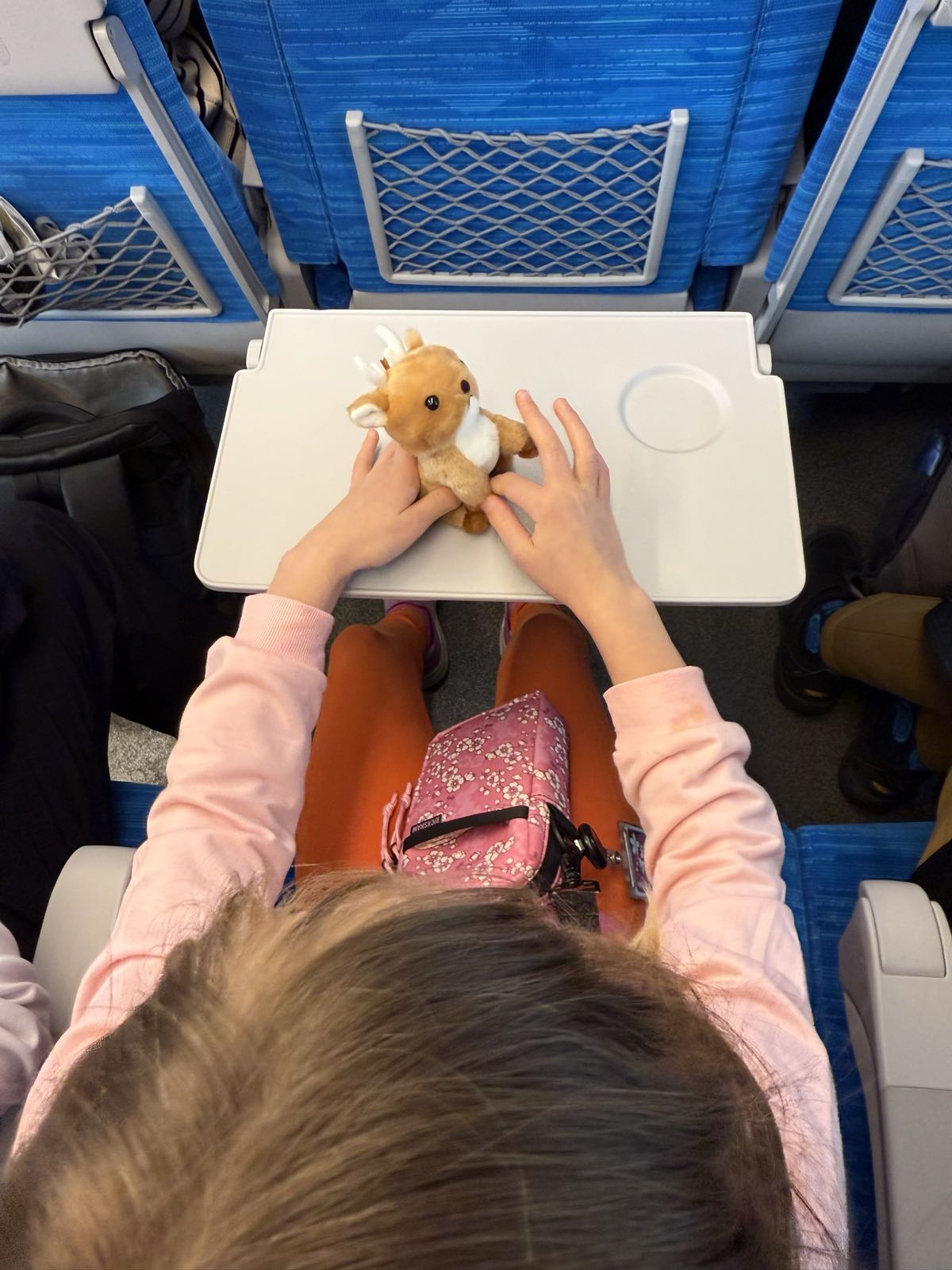 Shot from above, a child sits in a seat on a train. Her seat tray is deployed, and on it, she is playing with a small plush toy of a shika deer.