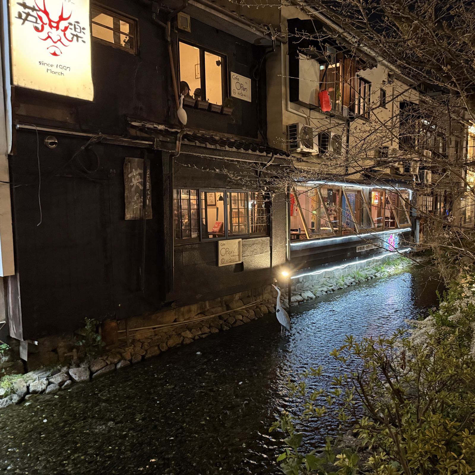 A crane stands in a small stream. It’s looking up to the roof of an adjacent building, on which stands another crane.