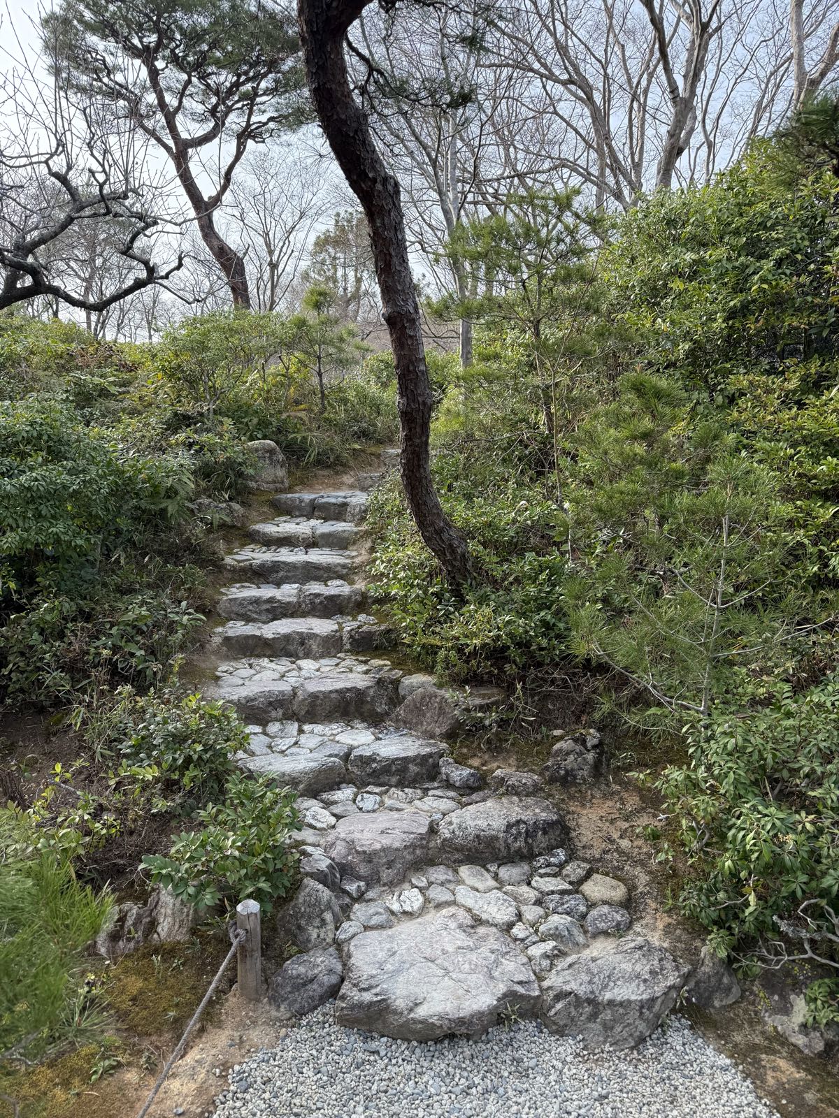 Old stone stairs ascend a small hill. Lots of small brush and some trees surround the path.