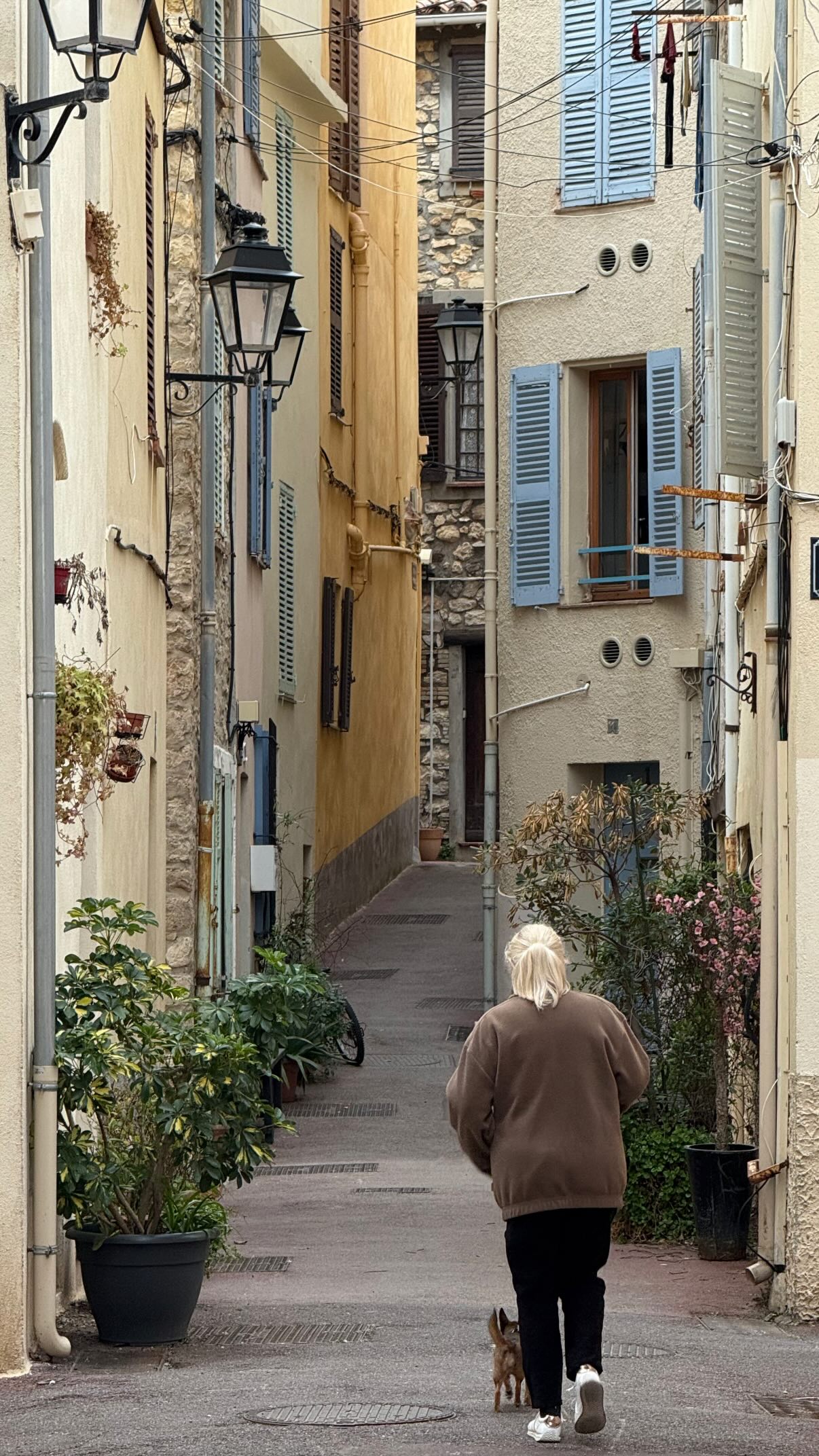 A small street meanders uphill. Colorful Mediterranean buildings line it on both sides. A woman is walking a dog up the street, away from the camera.