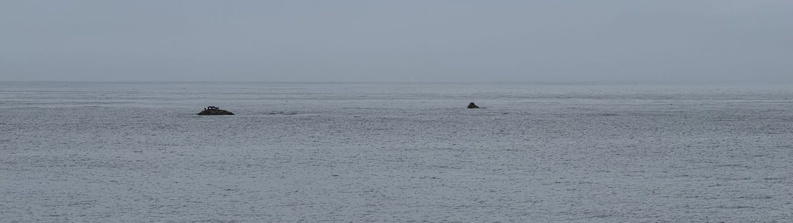 In a gray ocean, below a gray sky, two graphite-colored rocks peeks out from the water.