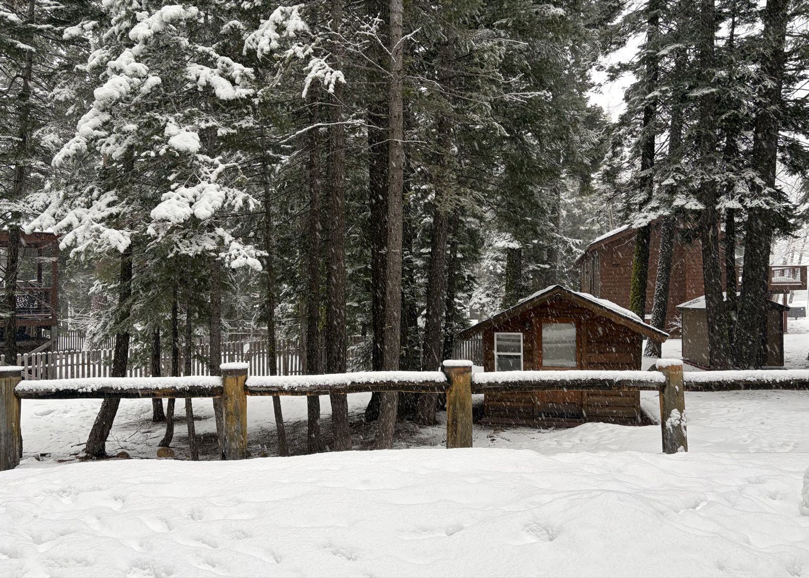 A winter wonderland—dark wood buildings have snow-covered roofs, and are surrounded by evergreens with laden branches. Snow is falling from the sky.