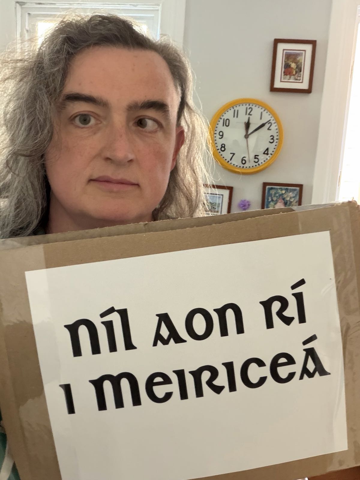 Yours truly, holding a protest sign written in the Irish language. It reads “Níl aon rí i Meiriceá,” which means “There are no kings in America.”
