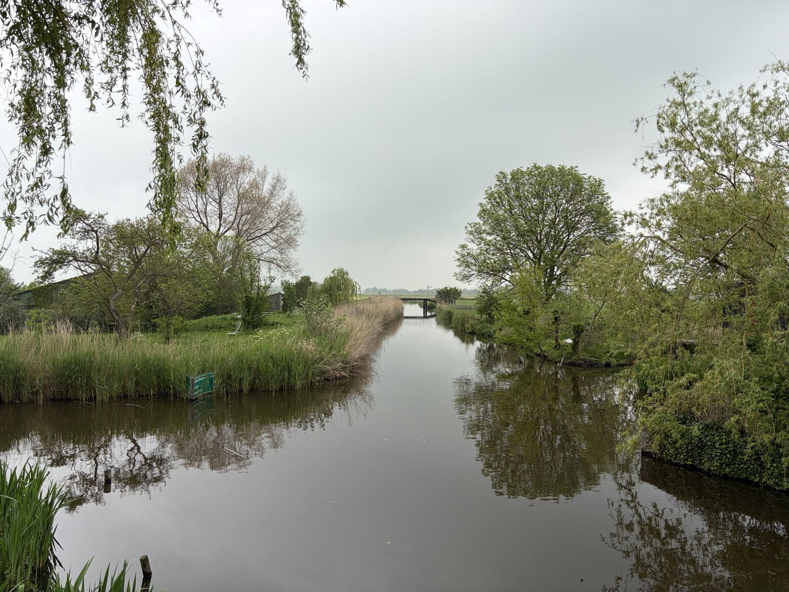 A dark body of water is under an overcast sky. There are a number of trees on the grassy land around it.