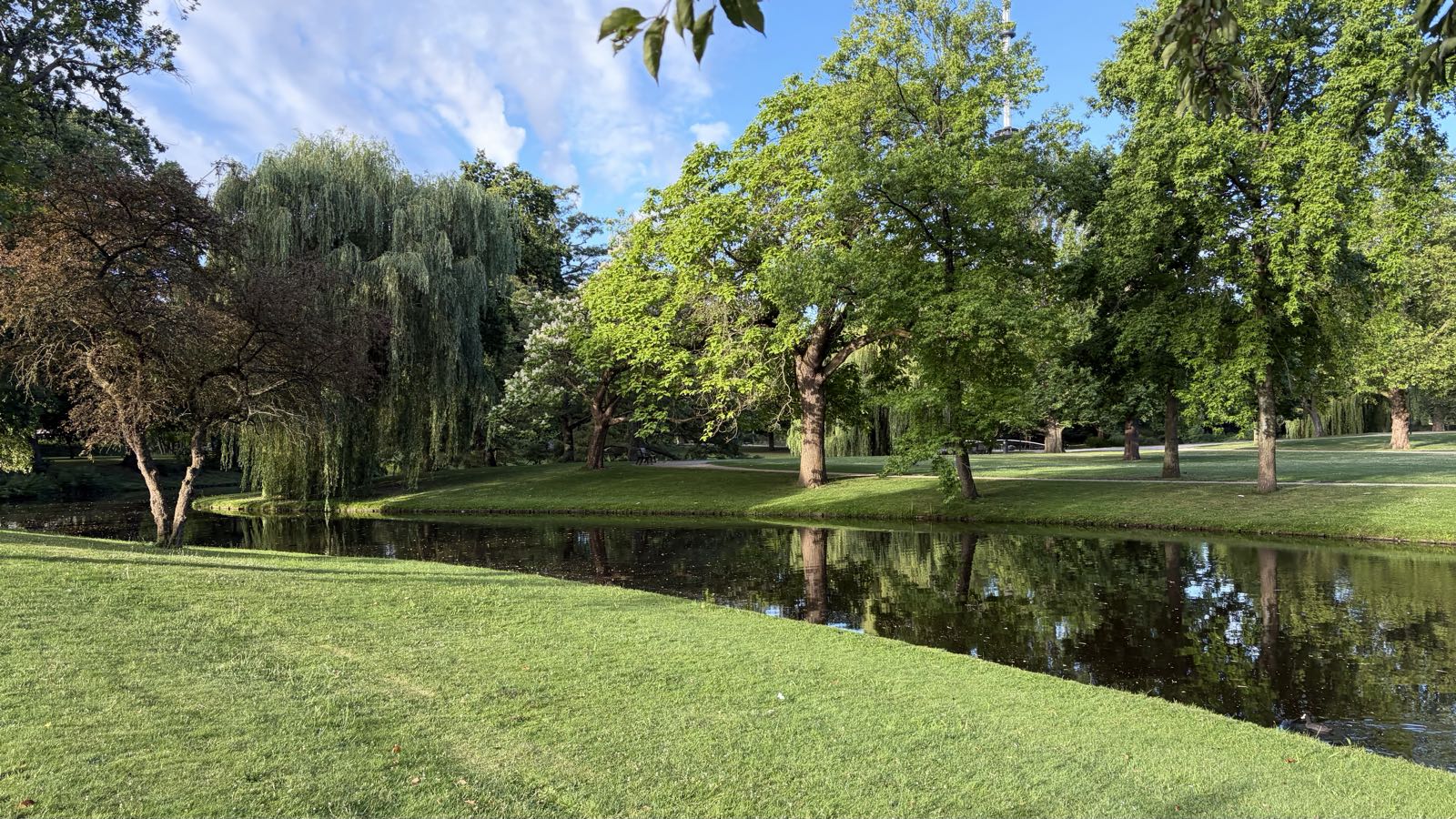 A canal winds through a park with trees of many different species.